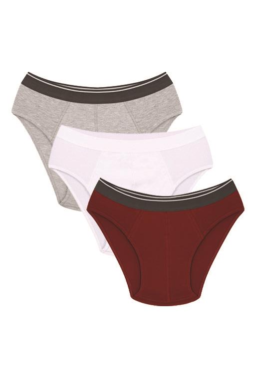 Moda Çizgi Erkek Pamuk 3lü Bordo Beyaz Gri Likralı Slip 40128 - 1