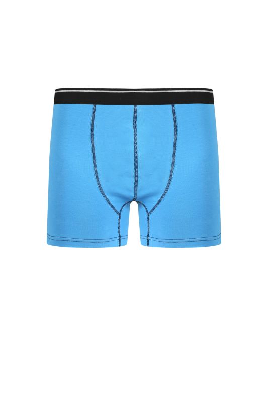 Moda Çizgi Erkek Pamuk Likralı Boxer Mavi 40133 - 2