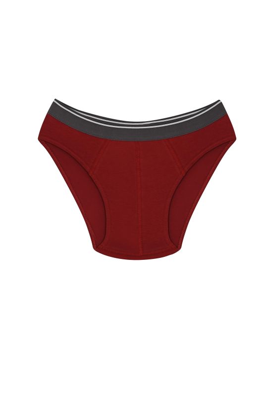Moda Çizgi Erkek Pamuk Likralı Slip Bordo 40132 - 2