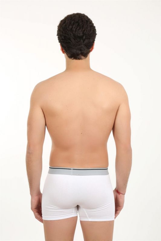 Moda Çizgi Erkek Likralı Boxer 40056 - 2
