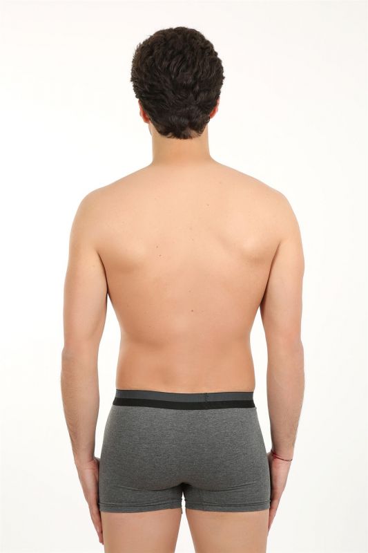 Moda Çizgi Erkek Likralı Boxer 40057 - 2