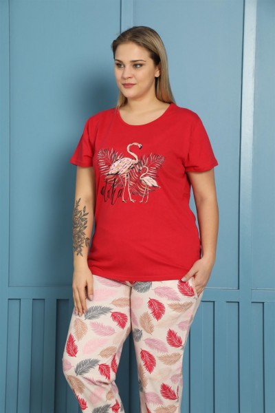 Moda Çizgi - Moda Çizgi Kadın %100 Pamuk Kısa Kol Büyük Beden Pijama Takım 202153