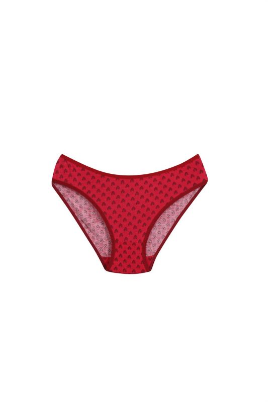 Moda Çizgi Women's 3-Piece Panties 40246 - 4