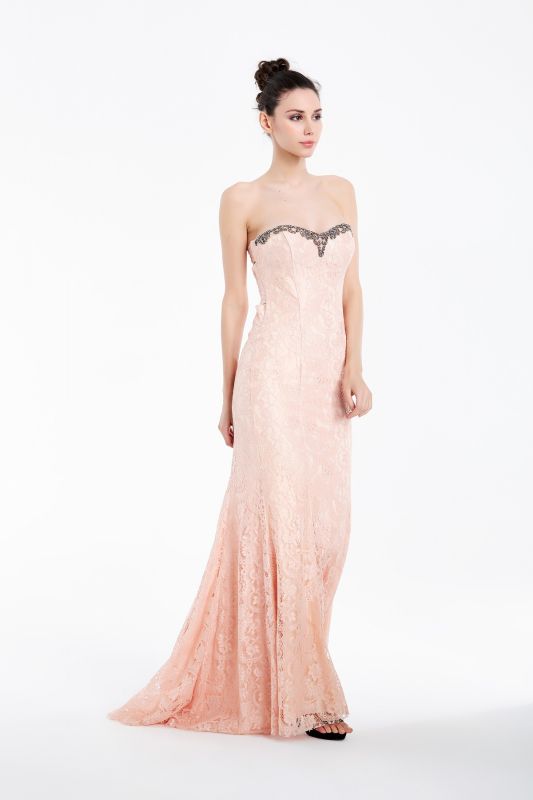 Powder Long Evening Dress N48231 - 1