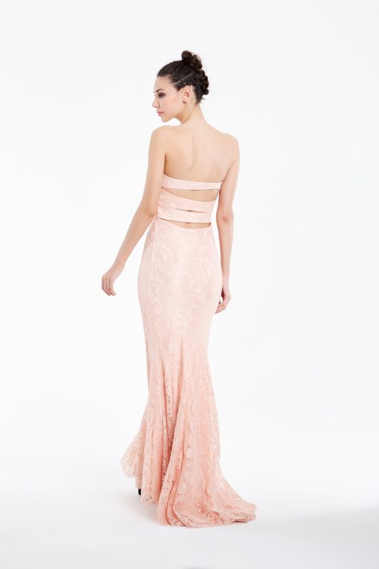 Powder Long Evening Dress N48231 - 3